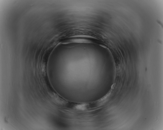 X0000091500178200708231452