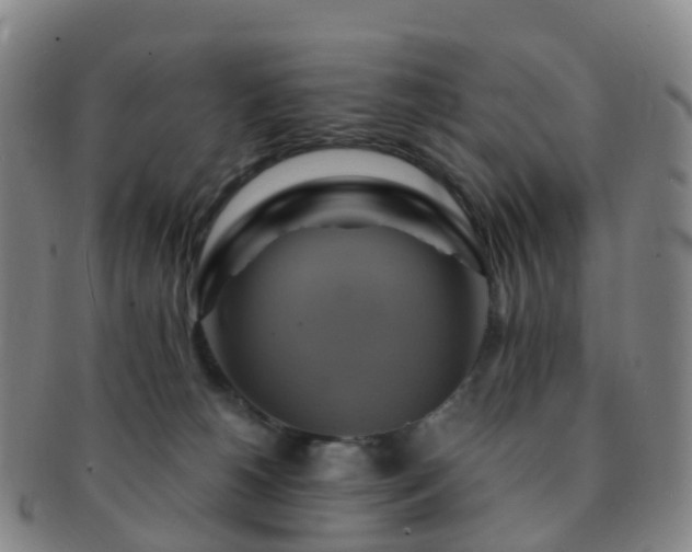 X0000091500180200708231452