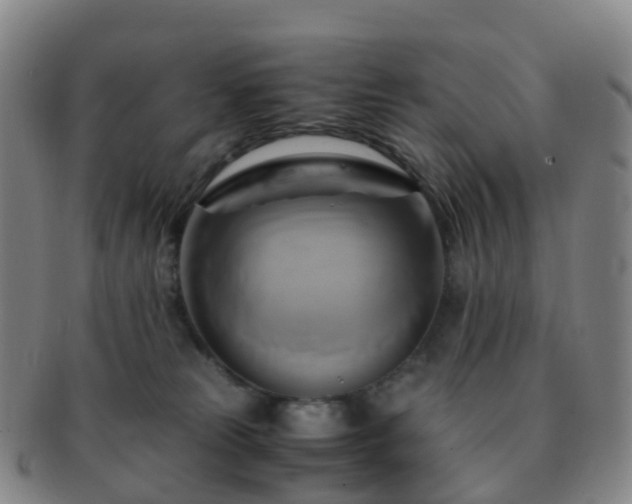 X0000091500181200708231452