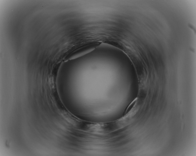 X0000091500182200708231452