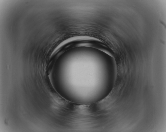 X0000091500184200708231452
