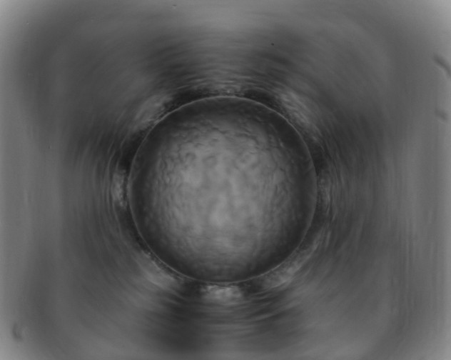 X0000091500185200708231452