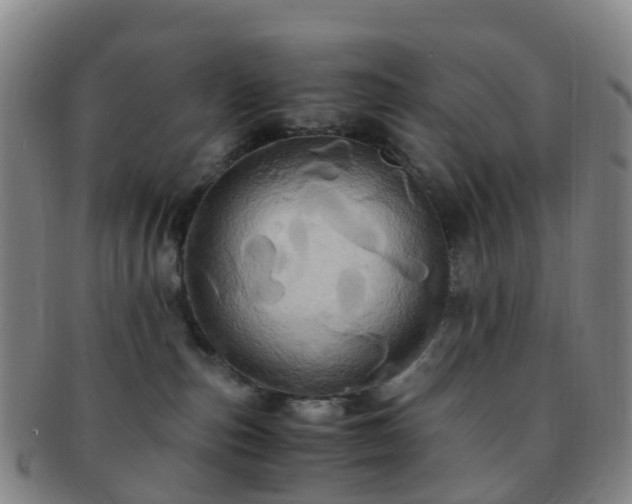 X0000091500187200708231452