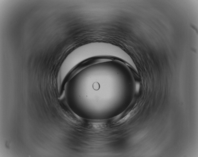 X0000091500188200708231452