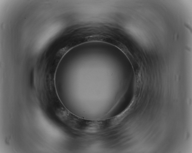 X0000091500191200708231452