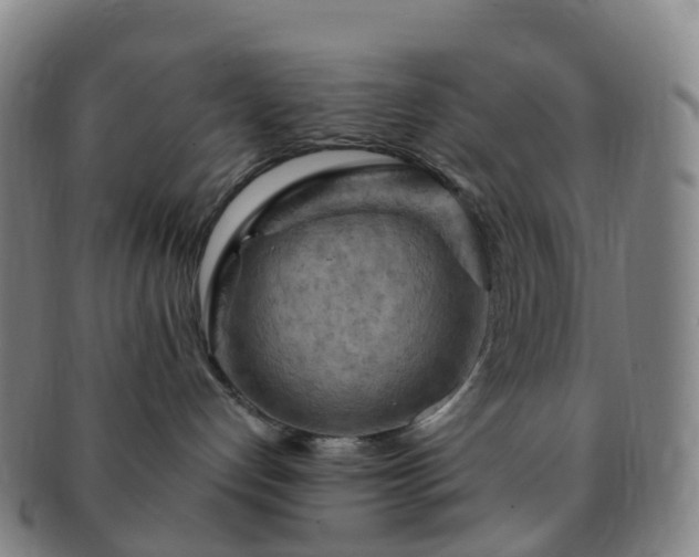 X0000091500192200708231452