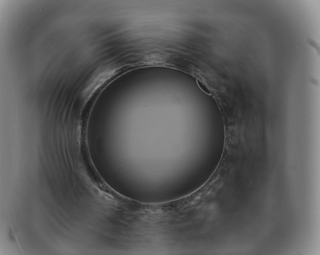X0000091500194200708231451