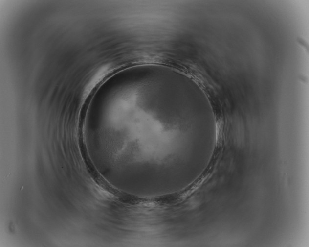 X0000091500195200708231451