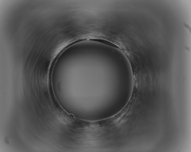 X0000091500196200708231451