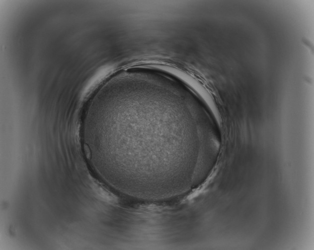 X0000091500197200708231451