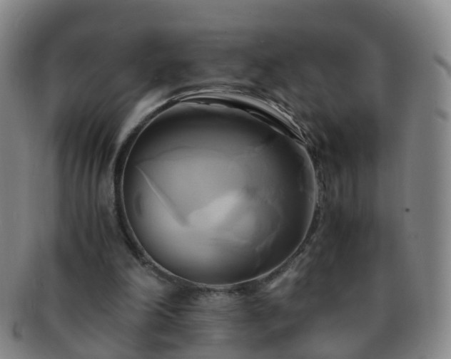 X0000091500198200708231451