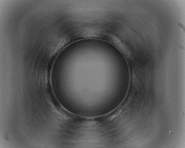 X0000091500202200708231451