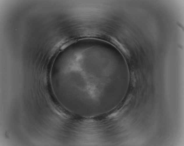 X0000091500203200708231451