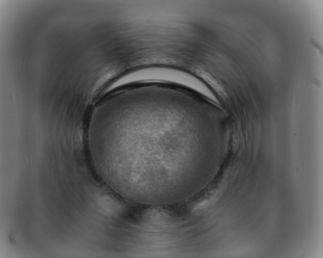 X0000091500207200708231451
