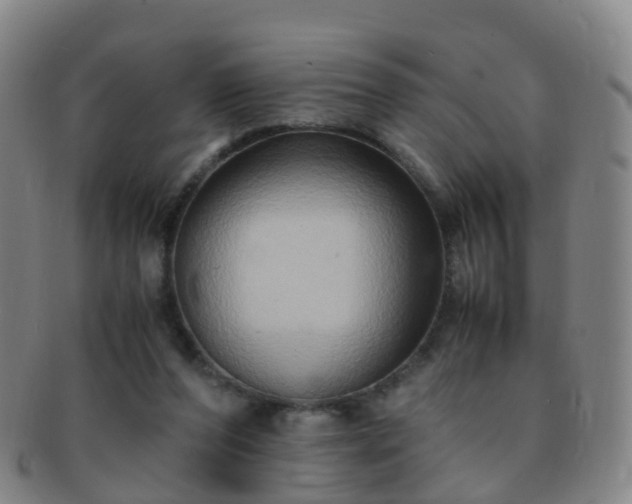 X0000091500208200708231451