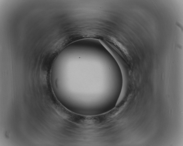 X0000091500209200708231451