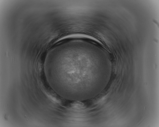 X0000091500215200708231451