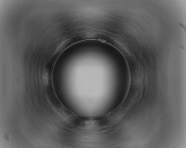 X0000091500216200708231451
