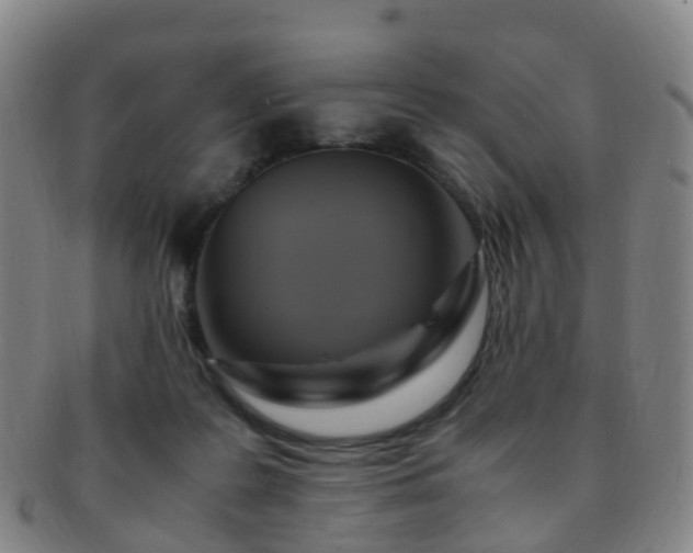 X0000091500219200708231451