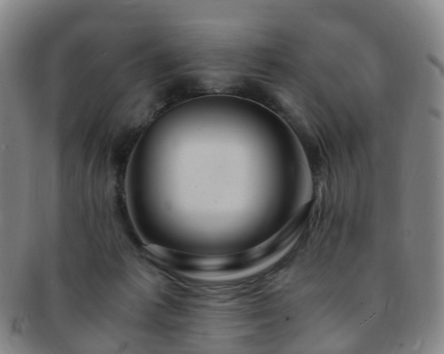 X0000091500221200708231451