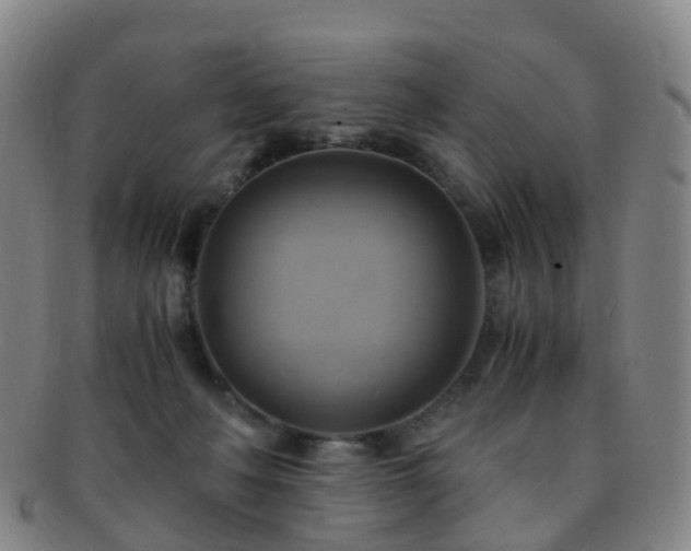 X0000091500222200708231451