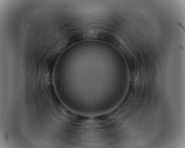X0000091500224200708231451