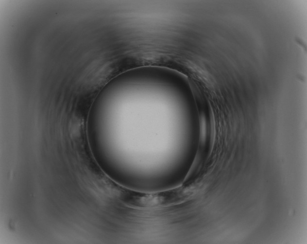X0000091500225200708231451