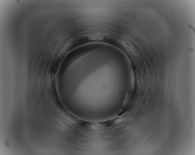X0000091500229200708231451