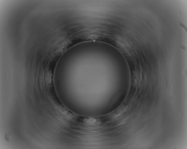 X0000091500230200708231451