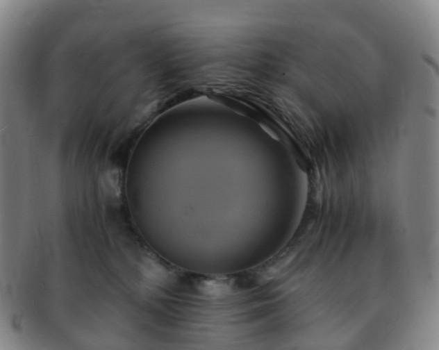X0000091500232200708231451