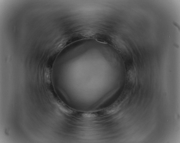 X0000091500234200708231451