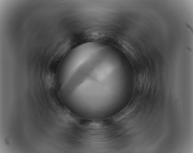 X0000091500236200708231451