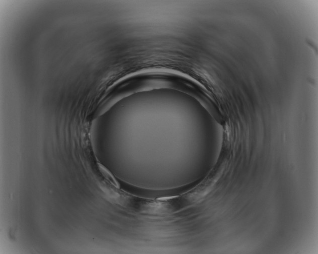 X0000091500237200708231451