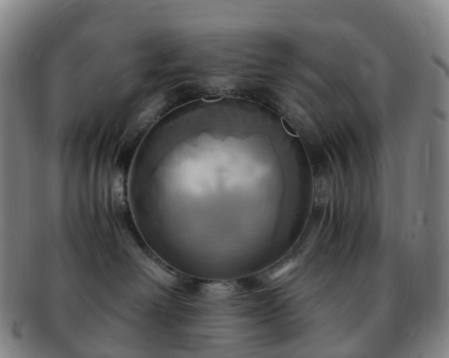 X0000091500238200708231451