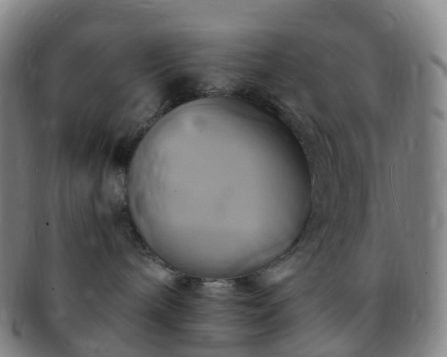 X0000091500240200708231451