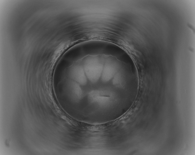 X0000091500241200708231450