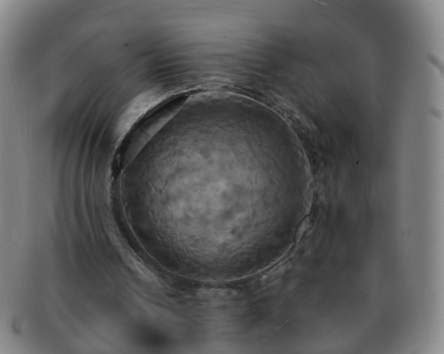 X0000091500242200708231450