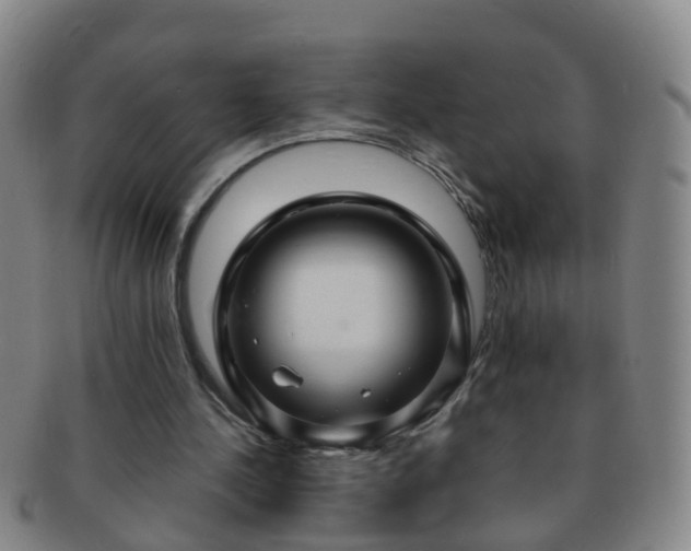 X0000091500244200708231450
