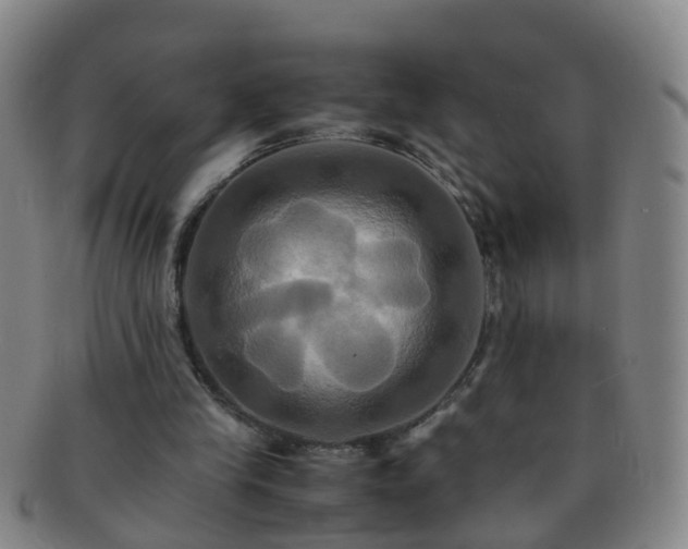 X0000091500245200708231450
