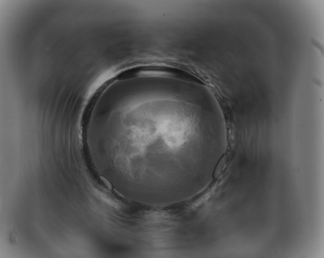X0000091500246200708231450