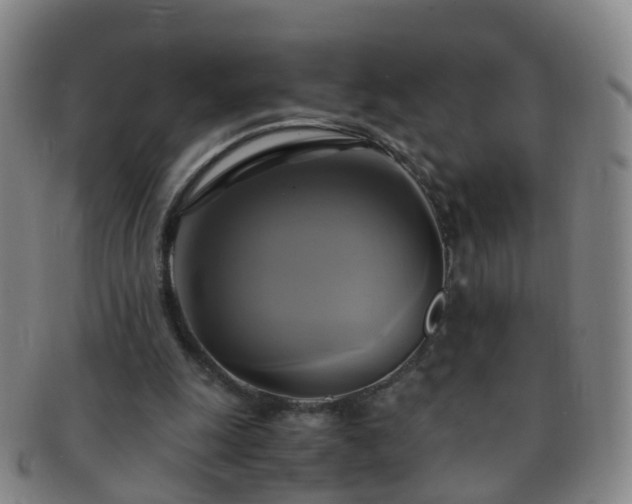 X0000091500247200708231450