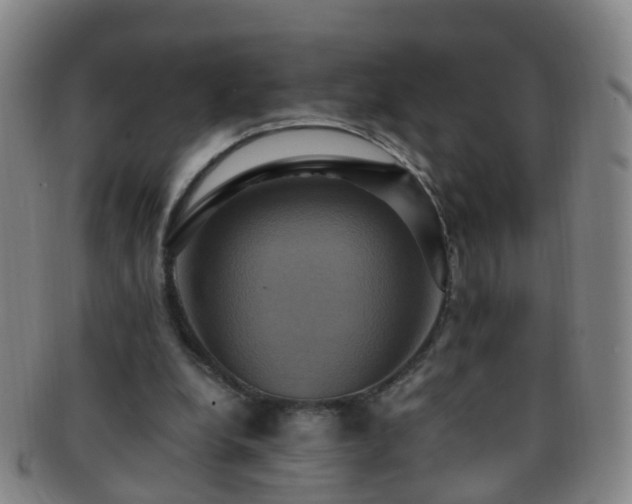 X0000091500248200708231450