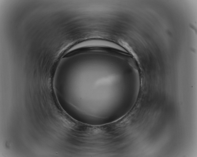 X0000091500249200708231450