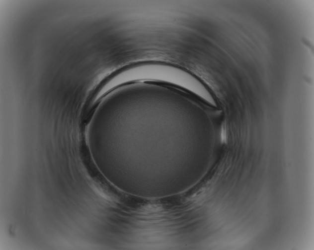 X0000091500252200708231450