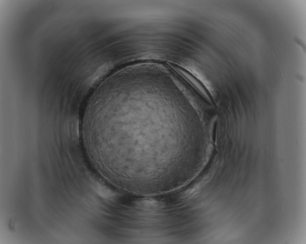 X0000091500253200708231450