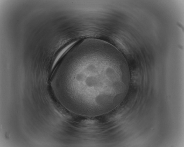 X0000091500255200708231450