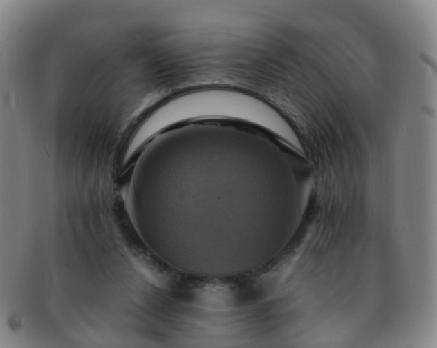 X0000091500256200708231450