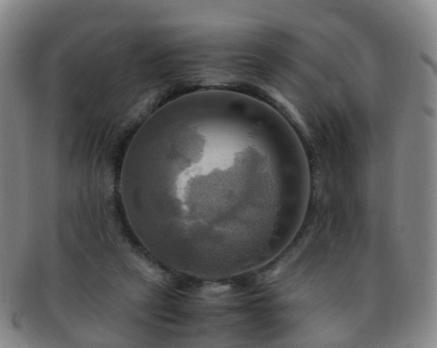 X0000091500257200708231450