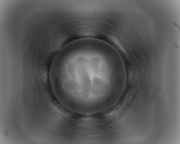 X0000091500259200708231450