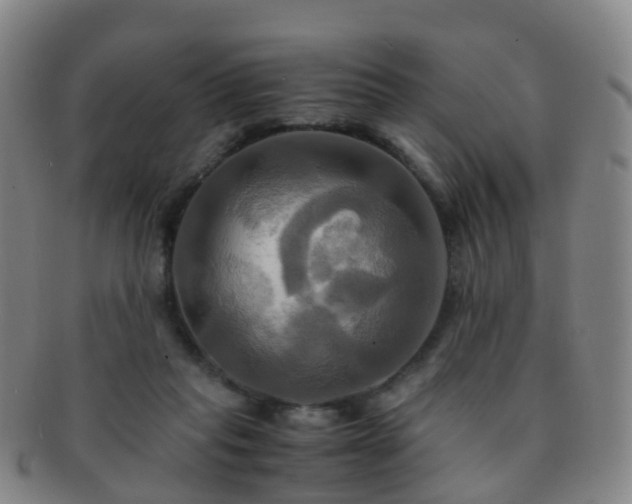 X0000091500261200708231450